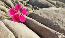 走进身边的美好