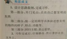 璀璨的青春路作文