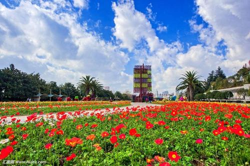 我有一个色彩缤纷的