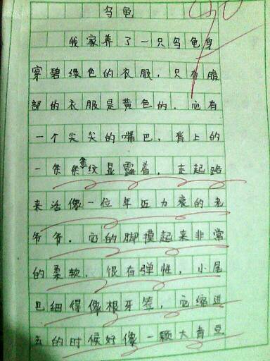 我是动物组成的是什么？