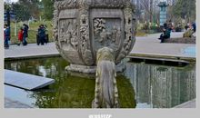 家乡的莲峰公园