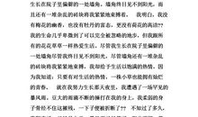 灿烂的青春路作文