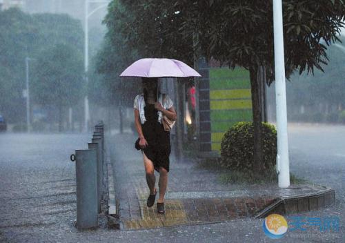 夏天雨