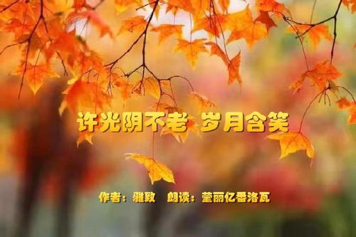 多年的礼物