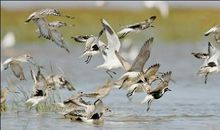 生活因摄影而精彩