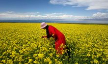 留在心底的那份暖