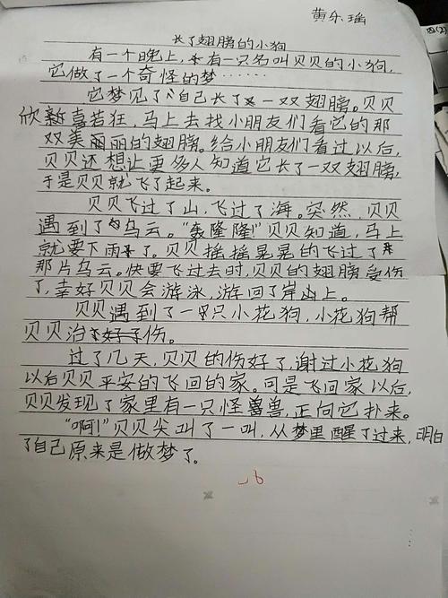 我的奇思妙想作文400字(写发明的)