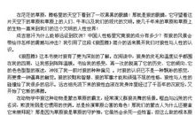 狼的解脱读后感