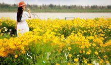 寻找那一抹背影