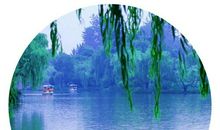 如梦的四季_450字