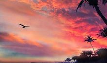 您的爱让我无比幸福