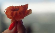 爱是一双苍老的手