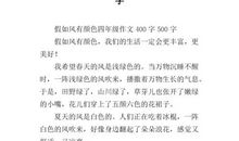 作文假如风有颜色