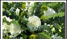 美好的借书时光