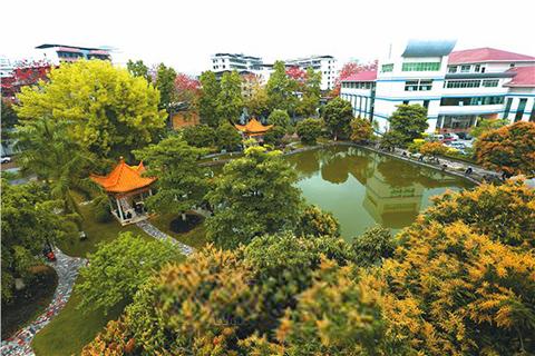 春天大花园