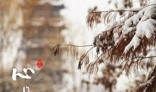 善始善终是成功主因