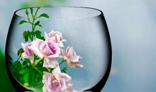 母爱是一盏明灯