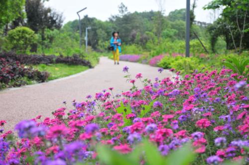 春季梅西湖