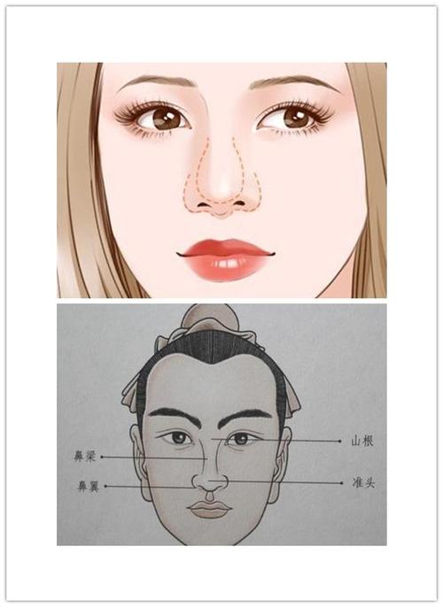我揭开了小狗鼻子的秘密。