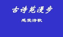 漫步在诗歌的王国