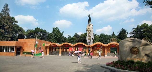 旅游成都动物园