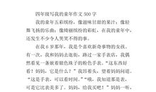 我和小团圆媳妇比童年作文