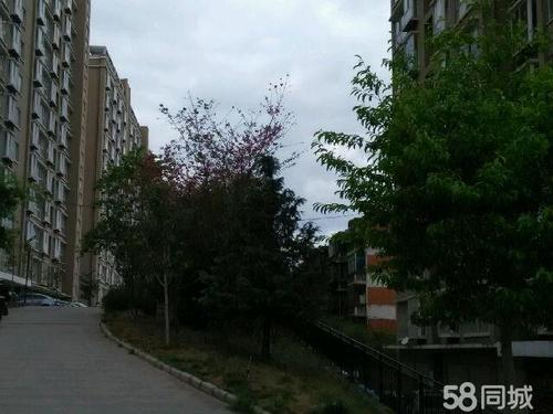 庭院早晨景观
