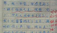 身边的污染真可怕作文