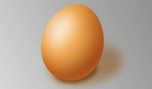 鸡蛋变银蛋作文