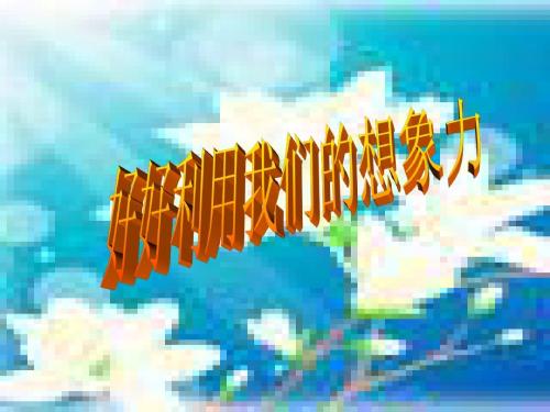插头有虚构的翅膀