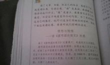 把生命固定在轮椅上读后感