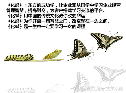 美好生活的耐火阶级