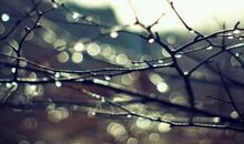 那些流逝的沙砾