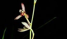 你仍要为之奋斗