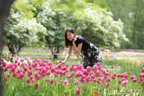 永远不要放弃我的心，如夏天的花朵
