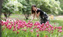 永不言弃行我心如夏花