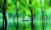 让文明在心中绽放