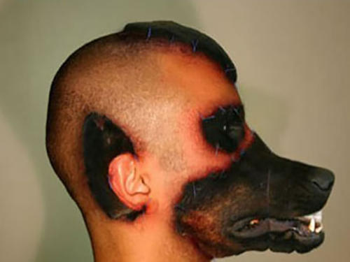 男子狗