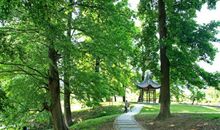 乡间那一片绿荫