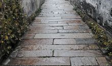 听听那雨落的声音