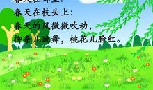 春在哪儿