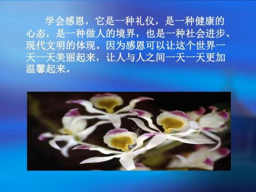 我写生命感激。