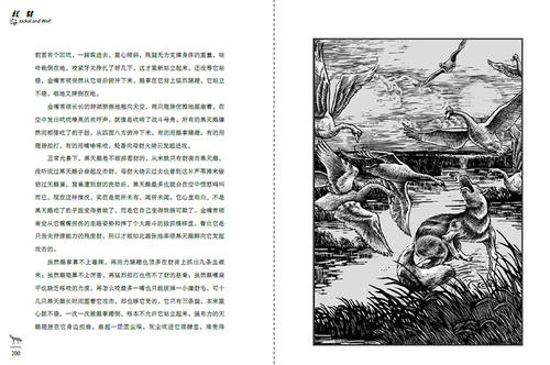 母亲喜欢赞美歌