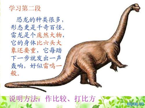 恐龙组成