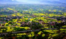 总有一种力量让我们泪流满面