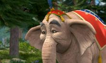 奶奶的环保生活