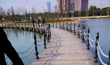 我要办个星星公园