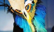 疼痛被勇敢遗忘