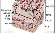 成熟是对自我的解剖