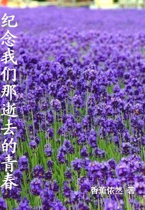 寻找风
